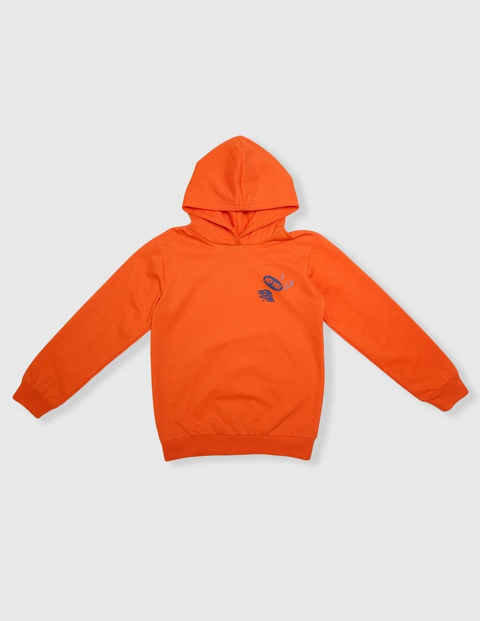 Sudadera para niño 1